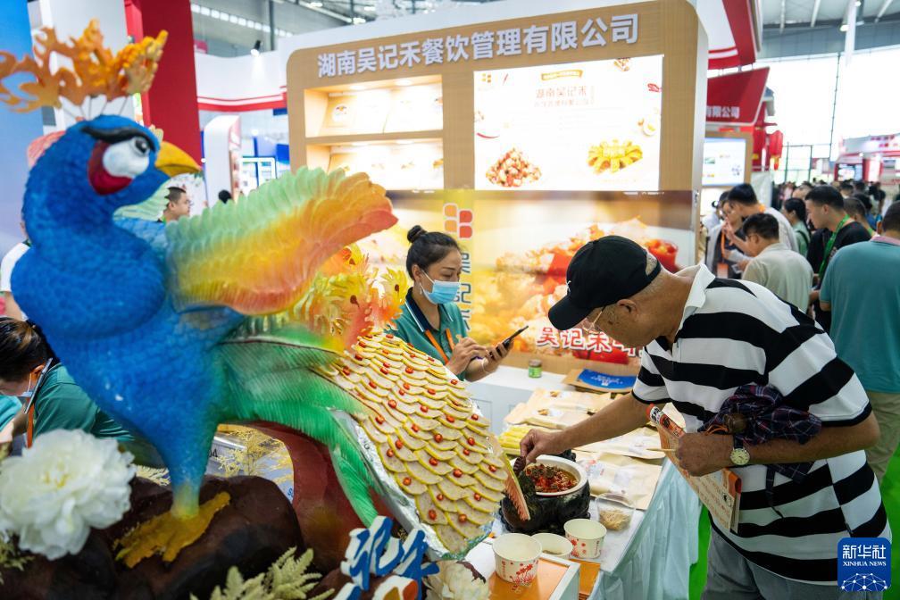 百佳乐网站软件